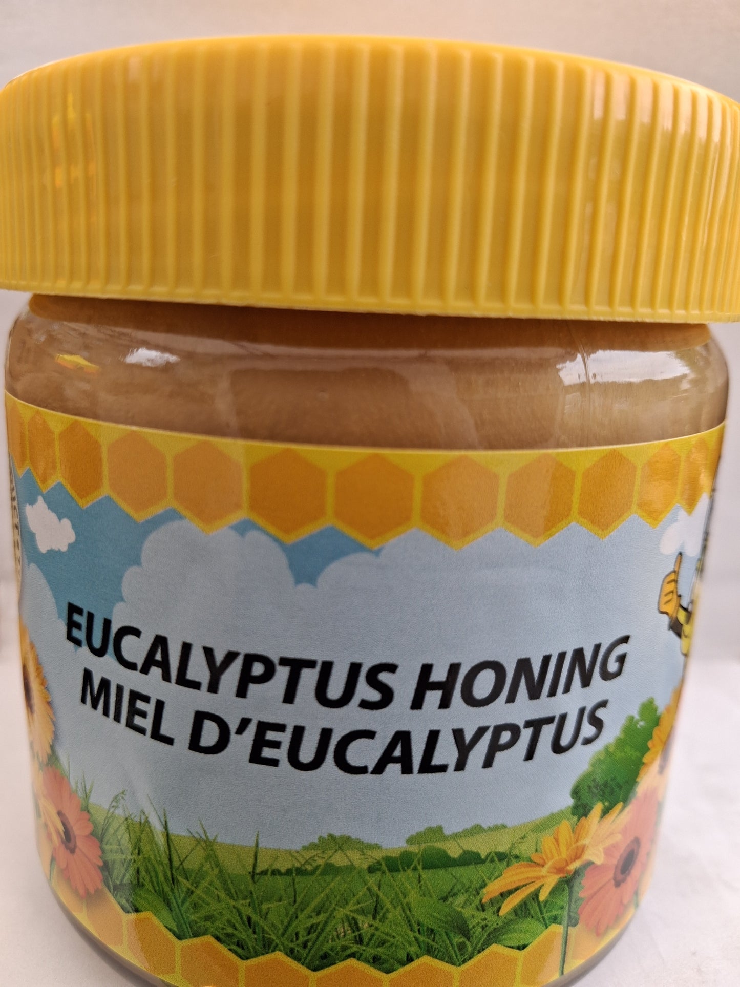 Miel d'Eucalyptus